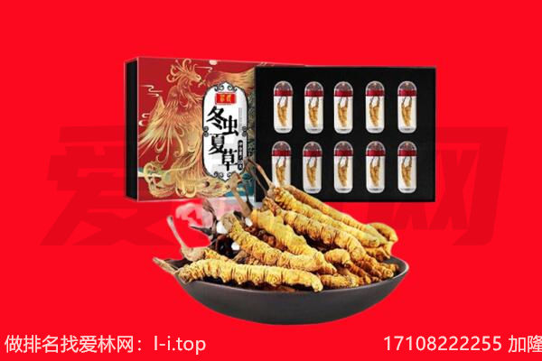 南通市海安回收虫草.jpg